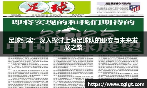 足球纪实：深入探讨上海足球队的蜕变与未来发展之路